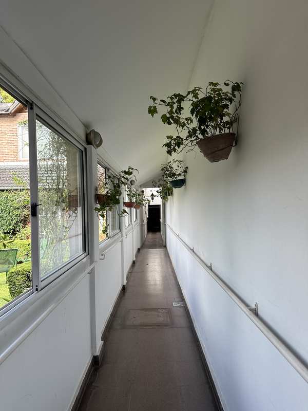 Pasillo con plantas colgantes